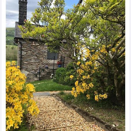 مبيت وإفطار كورين Hares Hideaway At Coed Moelfa المظهر الخارجي الصورة