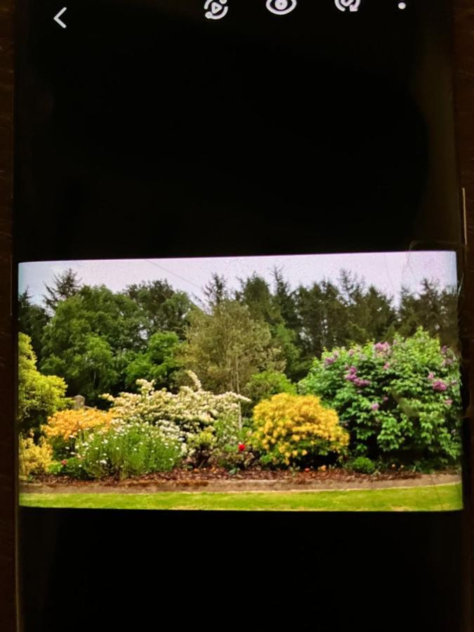 مبيت وإفطار كورين Hares Hideaway At Coed Moelfa المظهر الخارجي الصورة