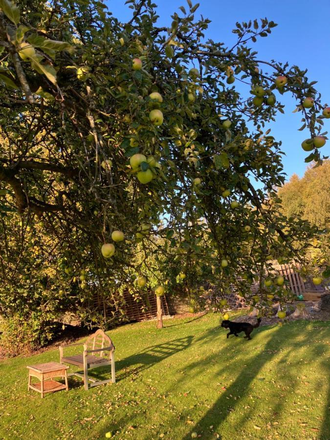 مبيت وإفطار كورين Hares Hideaway At Coed Moelfa المظهر الخارجي الصورة